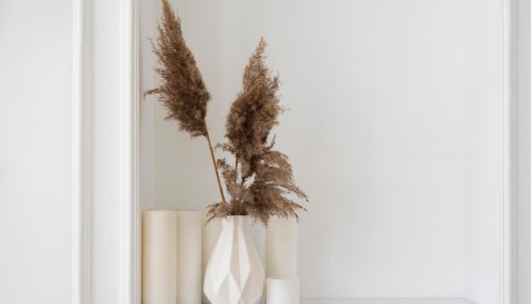 Arranjo de decoração de plantas para casa com espaço de copia