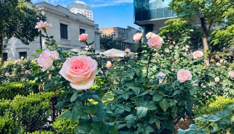 Jardim do Museu Casa das Rosas